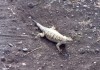 Thumbs/tn_051.Death Valley.jpg